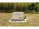 Features a Generac generator system set on a concrete base within a grassy area at 44 Florence Blvd, Debary, FL 32713