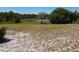 Lush backyard showcasing a green lawn and surrounding woods, blending the outdoors with nature in a tranquil setting at 685 Enterprise Osteen Rd, Osteen, FL 32764