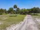 A scenic driveway leads through a verdant lawn dotted with mature trees and swaying palm trees at 685 Enterprise Osteen Rd, Osteen, FL 32764