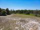Expansive land boasting a blend of green grass and natural vegetation, nestled near the woods, offering peaceful surroundings at 685 Enterprise Osteen Rd, Osteen, FL 32764