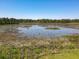 Scenic view of a pond surrounded by lush trees and foliage at 685 Enterprise Osteen Rd, Osteen, FL 32764