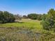 Expansive property featuring a serene lily pad pond and a spacious lawn leading to a well-maintained home at 685 Enterprise Osteen Rd, Osteen, FL 32764