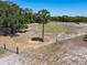 Large yard featuring a mature palm tree and a partial fence, offering space and privacy at 685 Enterprise Osteen Rd, Osteen, FL 32764