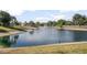 Scenic pond with a fountain and surrounding greenery, creating a peaceful community atmosphere at 811 Grand Park Ct, Deland, FL 32724