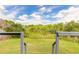 Scenic backyard view overlooking lush greenery and a tranquil pond on a sunny day at 1229 Saddleback Ridge Rd, Apopka, FL 32703