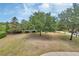 Expansive backyard showcasing lush trees and landscaping; a serene outdoor space at 1420 Shady Meadow Ln, Deland, FL 32724