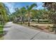 Long driveway with mature trees and manicured bushes lining the drive leading to the house at 1420 Shady Meadow Ln, Deland, FL 32724