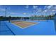 Exterior image of Community Pickleball Courts featuring new nets and manicured landscaping at 484 Landshark Blvd, Daytona Beach, FL 32124