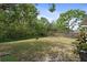 Open backyard with lush trees and vegetation at 736 Lindenwood W Cir, Ormond Beach, FL 32174