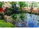 Close up view of a pond with lush greenery, lily pads and colorful fish at 1309 Wicklow Ln, Ormond Beach, FL 32174