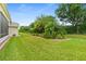 Green backyard with mature palms and lush landscaping at 1481 Areca Palm Dr, Port Orange, FL 32128