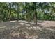 Open lot with tall trees and a grassy ground cover at 1690 S Adelle Ave, Deland, FL 32720