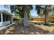 Backyard featuring large shade trees, grass, and a wood fence for privacy at 175 Center St, Daytona Beach, FL 32117