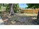 Backyard featuring a large shade tree, grass, and a wood fence for privacy at 175 Center St, Daytona Beach, FL 32117
