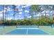Well-maintained pickleball courts offer a great space for active community engagement and recreation at 28 Shadowcreek Way, Ormond Beach, FL 32174