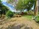Backyard featuring a well-maintained lawn and mature trees with fencing at 2953 Autumn Run Pl, Orlando, FL 32822