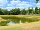 Scenic view of a tranquil pond surrounded by lush greenery and a sunny sky at 2953 Autumn Run Pl, Orlando, FL 32822