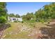 Expansive backyard with mature trees and diverse plants, offering a serene natural environment at 333 N Kentucky Ave, Deland, FL 32724