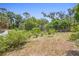 Overgrown backyard featuring a variety of trees, vegetation, and foliage at 333 N Kentucky Ave, Deland, FL 32724