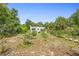 Spacious backyard featuring lush greenery, scattered plants, and a charming white building in the background at 333 N Kentucky Ave, Deland, FL 32724
