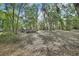 Wooded backyard with lush trees and natural landscaping at 5265 Myakka Rd, De Leon Springs, FL 32130