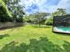 Expansive backyard featuring mature trees providing ample shade and lush green grass at 600 S Parkview Ave, Orange City, FL 32763