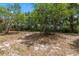 The property features a large backyard with a tree line bordering the property at 688 Cumberland Rd, Deland, FL 32724