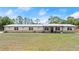 Well-maintained front yard, featuring stone accents at 793 Timothy St, Ormond Beach, FL 32174