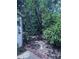 Lush backyard featuring various bushes and shade trees at 891 S Atmore Cir, Deltona, FL 32725