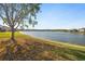 Expansive backyard with direct lake access and a mature shade tree at 1929 Cove Point Rd, Port Orange, FL 32128