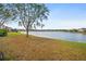 Backyard with direct lake access, mature shade tree and well-maintained lawn at 1929 Cove Point Rd, Port Orange, FL 32128