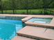Inviting in-ground hot tub with steps and tile border, nestled within a screened enclosure at 201 Asterbrooke Dr, Deland, FL 32724