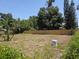 Large, fenced backyard with plenty of greenery, offering a serene and private outdoor space at 2204 Poinsettia Ln, Deland, FL 32724