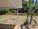 Covered patio overlooking a private, fenced backyard with lush tropical landscaping at 2204 Poinsettia Ln, Deland, FL 32724