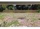 Spacious backyard with a new wooden fence, offering privacy and room for outdoor enjoyment at 2204 Poinsettia Ln, Deland, FL 32724