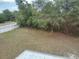 Expansive backyard featuring lush greenery, providing a private and natural outdoor space at 2709 Sedgefield Ave, Deltona, FL 32725