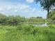 Overgrown marshy pond featuring lush green vegetation and a cloudy blue sky at 313 Dirksen Dr # B15, Debary, FL 32713