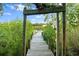 A lovely shaded walkway leads to the community dock at 6317 Palmas Bay Cir, Port Orange, FL 32127
