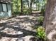 The backyard is wooded with mature trees and shade with a small path at 805 N Clake St, Deland, FL 32724
