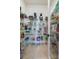 Walk-in pantry featuring abundant shelving and storage space for all your culinary essentials at 887 Lake Hill Way, Deland, FL 32724