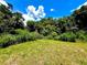 Lush green backyard with mature trees, offering privacy and a peaceful outdoor space at 926 Clover St, Deland, FL 32720