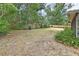 Large backyard featuring green trees, wooden fencing, and plenty of open space at 1075 Burgoyne Rd, Deland, FL 32720