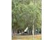 View of a playground with climbing structures and slides partially obscured by trees at 132 Wax Myrtle Ct, Sanford, FL 32773