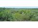 Lush backyard with mature trees, providing privacy and a serene natural setting at 14 Marsh Ct, Ponce Inlet, FL 32127