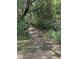 Gravel driveway between signs marked private property and overgrown shrubbery at 288 Mcmillon Dr, Orange City, FL 32763
