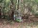 View of a water pump between trees and overgrown vegetation at 288 Mcmillon Dr, Orange City, FL 32763