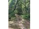 Image of a wooded property with a dirt path at 288 Mcmillon Dr, Orange City, FL 32763