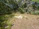 View of a mound on land overgrown with trees and vegetation at 288 Mcmillon Dr, Orange City, FL 32763