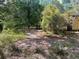 View of a concrete slab on land overgrown with trees and vegetation at 288 Mcmillon Dr, Orange City, FL 32763
