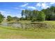 Scenic pond with lily pads surrounded by lush greenery and trees on a sunny day at 4145 Rambler Ave, St Cloud, FL 34772